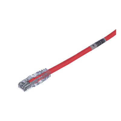 Cable de Parcheo UTP / Categoría 6 / 24 AWG / CM/LSZH / 1 ft (0.3 m) / T568A/B / 50 µin Oro UTPSP1RDY PANDUIT